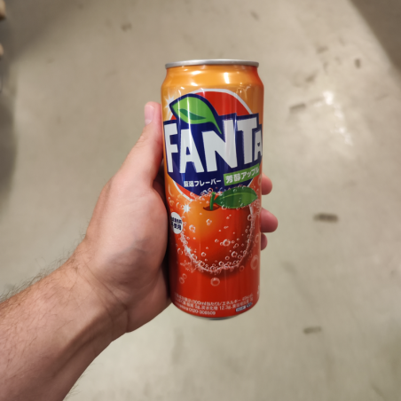 Coca Cola FANTA Rich Apple, 24 stk