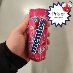 Mentos Fruity Mix 24stk