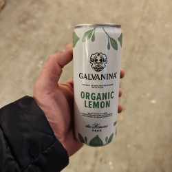 Galvanina Lemon – Økologisk Italiensk Citronsodavand