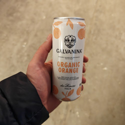 Galvanina Orange – Økologisk Appelsinsodavand
